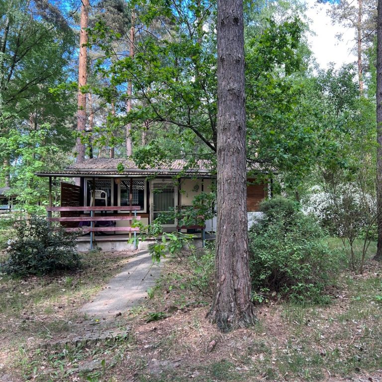 Euer Bungalow im Wald mit viel Ruhe und Entspannung